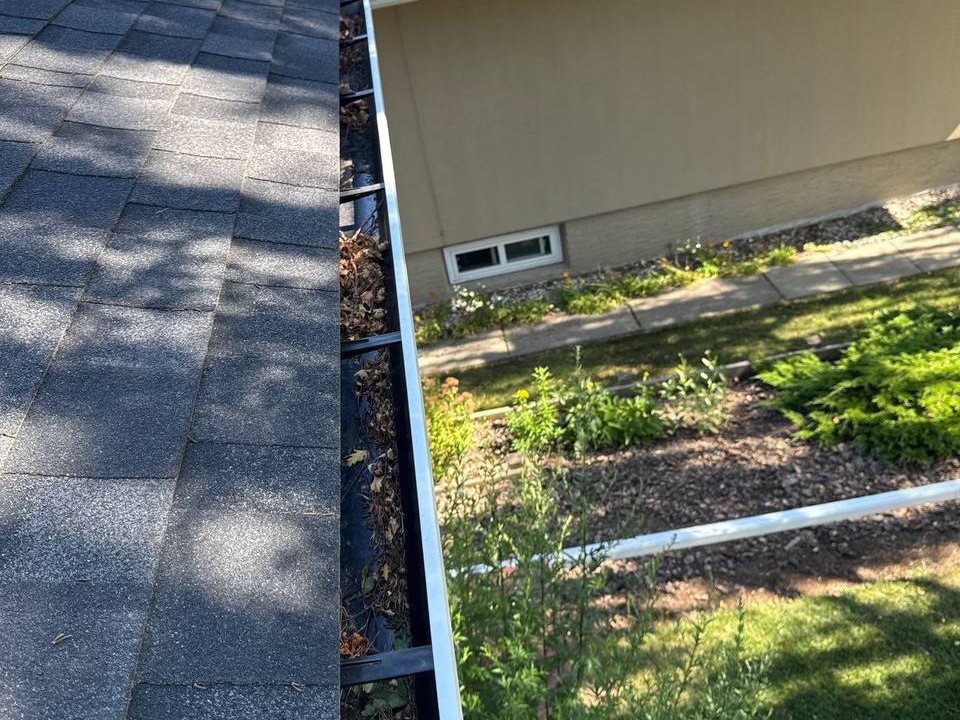 Open eavestrough along a roof edge with leaves and needles collecting in it